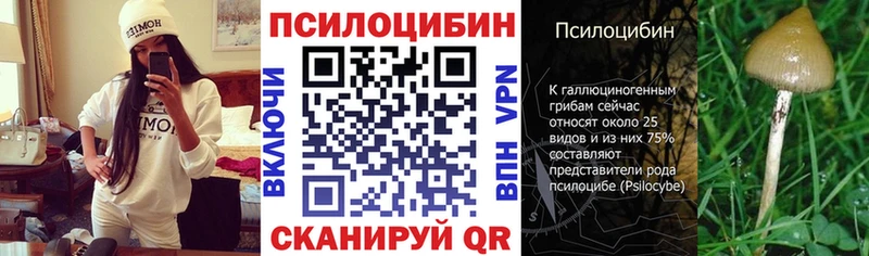 Галлюциногенные грибы MAGIC MUSHROOMS  blacksprut tor  Лагань  где купить наркоту 